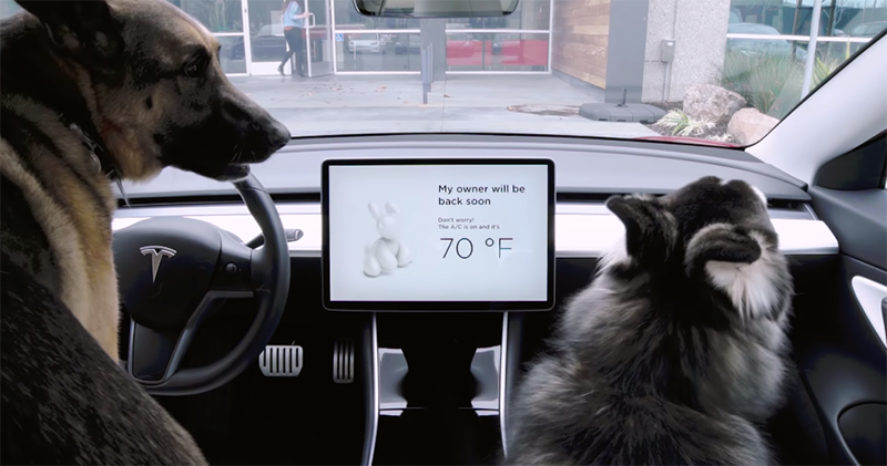 Tesla 內建鏡頭立大功 ，被車主用來證明自己並無違規 - 電腦王阿達