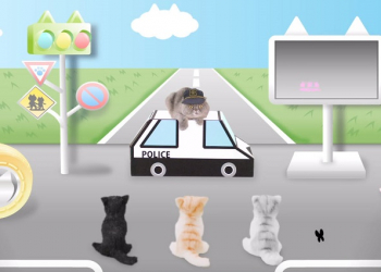 日本推出世界首支給貓看的「 猫専用交通安全宣導動畫 」