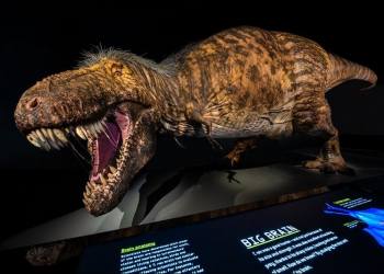 霸王龍穿越時空復活！HTC VIVE攜手美國自然史博物館發表首款雷克斯暴龍VR 體驗 - 電腦王阿達