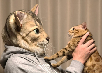 量身訂製擬真寵物面具 ，讓鏟屎官變身貓主子