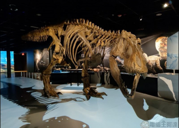 穿越6500萬年的震撼！直擊 T. rex：The Ultimate Predator 霸王龍特展 - 電腦王阿達