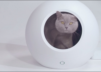 喵星人 的新房子！日本推出智慧型寵物屋，手機控溫冬暖夏涼