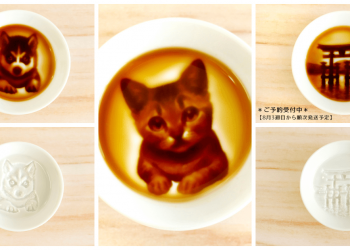 日本文創小物會隨著醬油的加入逐漸顯現貓狗圖案的醬料碟子