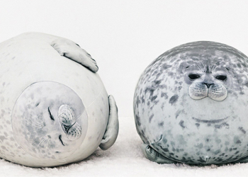 超可愛 ！大阪海遊館與 YOU+MORE! 聯名推出「圓圓海豹抱枕」