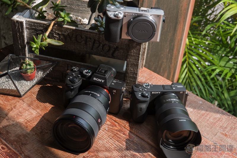 SONY A6600、A6100