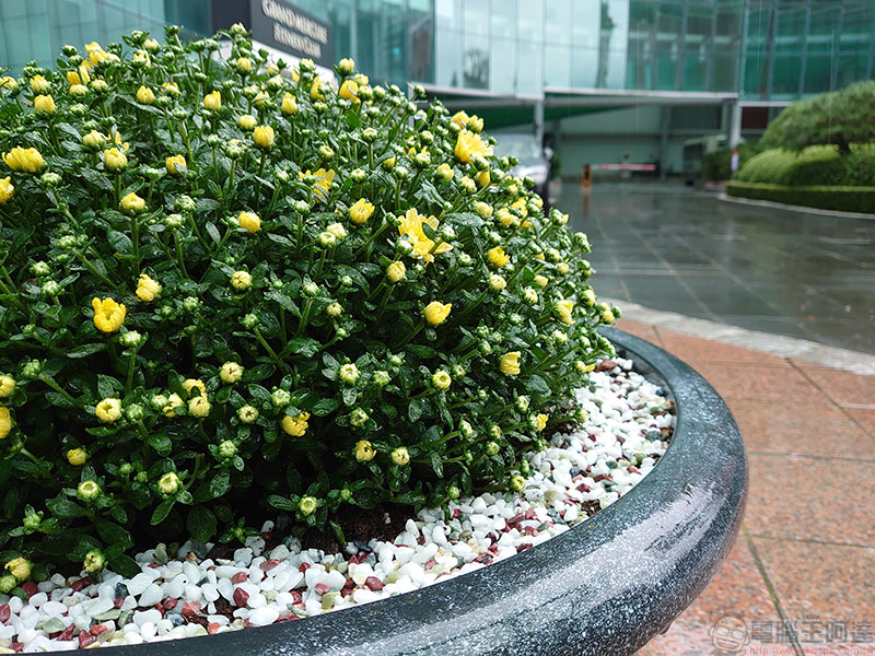 用 Xperia 5 發現都市裡的風景，用另一個角度發現幸福感 - 電腦王阿達
