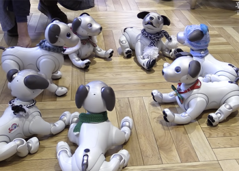 日本 Aibo 機器狗飼主聚會 ，熱烈到咖啡店都必須特設時段