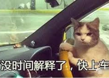 TELEGRAM 好用資源與老司機資源整理 - 電腦王阿達