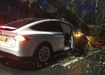 兩台 Model X 在同一路口都因自動駕駛倖免於被樹壓的大難