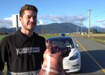 特斯拉 Model 3 自動輔助駕駛模式實測，人突然出現、狗狗、三角錐放在前方會撞到嗎？