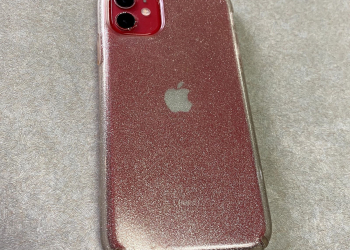 掉入迪士尼樂園湖內兩個月　尋回的iPhone 11依然可以正常使用 - 電腦王阿達