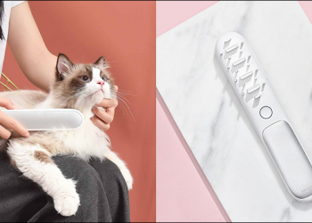 小米有品 CARNO寵物除菌護理梳 眾籌推出，照顧毛小孩的抗菌紓壓小物