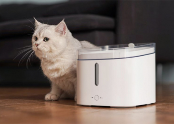 中國小米商城推「小頑智能寵物飲水機」限時眾籌，進軍毛小孩市場