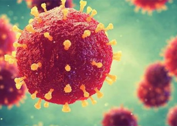 Google 武漢肺炎網站與增強搜尋上線，內容囊擴知識、衛教、數據與幫助資源