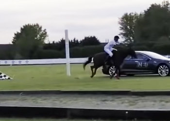 一匹馬 vs. 590 匹馬力的 Tesla Model S ，誰跑得贏？