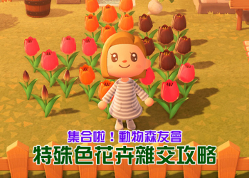 《集合啦！動物森友會》花卉雜交攻略，來一起養出特殊花色