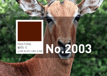 免費素材資源與線上工具整理，2020年3月號