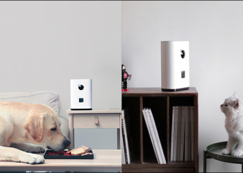 Pawbby 智慧寵物零食機 於小米有品推出：可投食互動、即時視訊監控與語音互動功能