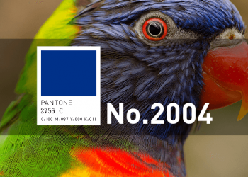 免費素材資源與線上工具整理，2020年4月號