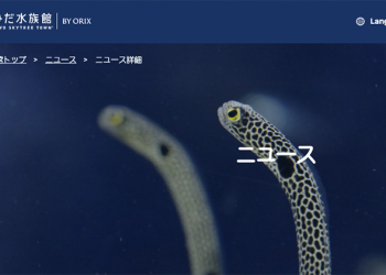 長時間休館造成「 花園鰻危機 」 日本水族館號招網友 Face Time 露臉互相療癒