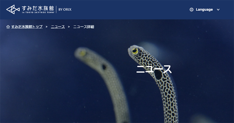 長時間休館造成「 花園鰻危機 」 日本水族館號招網友 Face Time 露臉互相療癒 - 電腦王阿達