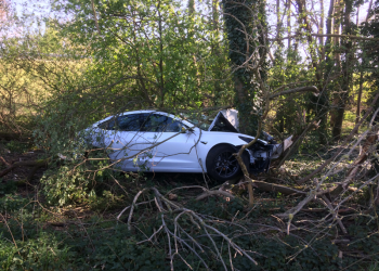 Tesla Model 3 撞到車頭全毀，人竟然幾乎毫髮無傷！國外車主：5 顆星超級安全 - 電腦王阿達