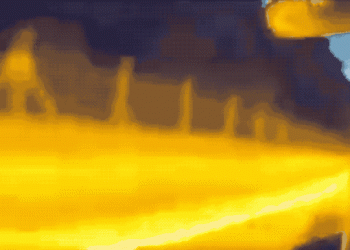 遇到翻車直直撞，但 Tesla Autopilot 倒是閃掉了路上的… 豬（影片）