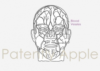 Apple 新專利顯示　未來 Face ID 有可能支援掃描臉部靜脈，更安全且準確 - 電腦王阿達