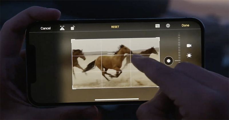 DJI 專業相機三軸穩定器 RS 2 和 RSC 2 發表，1.4 吋觸控螢幕與圖傳跟隨功能搭載 - 電腦王阿達