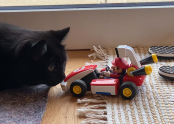 《Mariokart Live》已經出貨，貓：竟敢在太歲頭上動土！