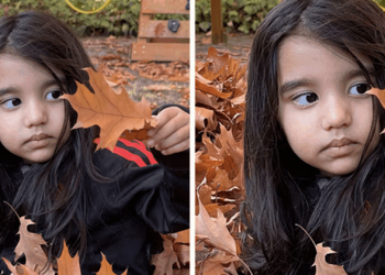 Google Photo 新增 3D 劇院動畫效果，讓「照片」整個活了起來