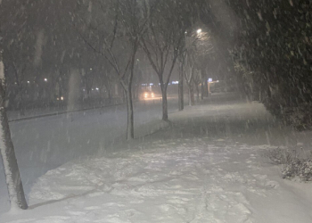 AirPods 為什麼是白色的？韓國網友不慎將耳機掉在雪堆，崩潰怒飆粗口