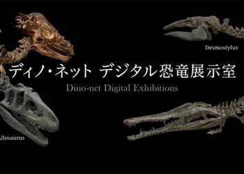 日本科學博物館免費開放線上數位恐龍展覽室，用 360 影像觀賞恐龍化石