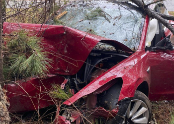 Tesla Model 3 以時速近 90 公里「直直撞」樹，照片超淒慘但駕駛居然僅瘀傷（！）