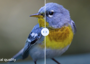 Google Photo 突然強調「原始上傳」的重要性，是超時空打臉自己的照片壓縮技術？