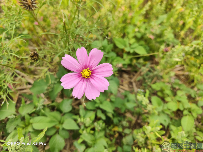 OPPO Find X3 Pro 簡單上手玩｜10.7 億顯色螢幕、雙 50MP 大尺寸感光元件相機 - 電腦王阿達