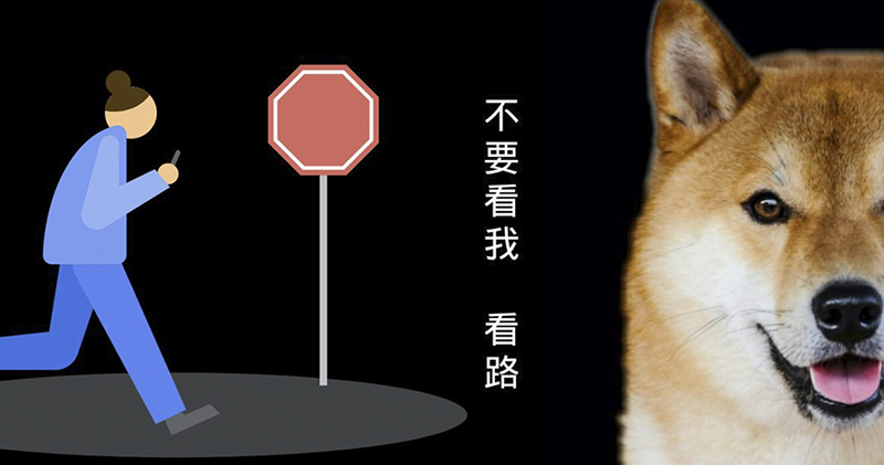 手機要「折」要「捲」？TCL：我全都要！ - 電腦王阿達