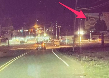 Tesla 自動駕駛無故自動煞停讓人怕爆？原因看來與「招牌」有關（咦）