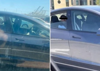 國外特斯拉車主開啟 Autopilot 坐後座當乘客，因濫用自動駕駛被捕卻表示仍會持續這麼做