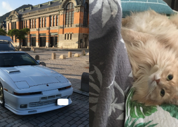 日本 Toyota Supra 車主賣車籌措貓咪百萬醫藥費，車迷買下承諾照顧愛車未來原價賣回