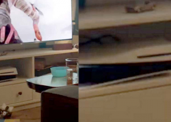 Sony 新推出的 PS5 溫馨廣告，被眼尖網友發現 PS5 主機放反了！