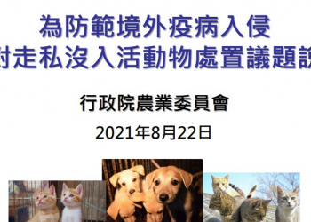 貓隻走私人道處置議題 動植物輸出入皆有嚴格檢疫規定