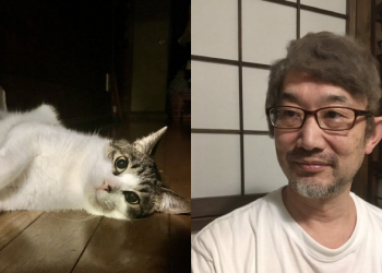 日本網友收集貓毛做成假髮，遠看髮量濃密且髮型超蓬鬆