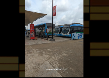 疑似 Google Pixel 6 Pro 相機實拍照片、錄影影片國外洩漏 - 電腦王阿達