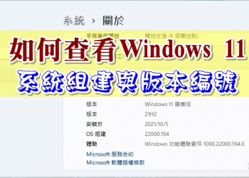 如何查看Windows 11 系統組建 (Build Number)與版本編號