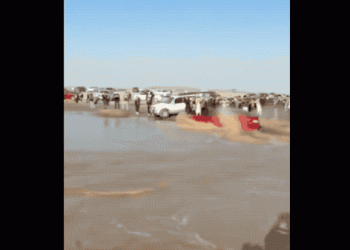 看看特斯拉被當汽艇用來「玩水」的影片，真不怕深陷泥沼？