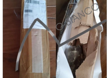 巴西演員從家樂福線上商城網購 Apple Watch ，卻收到一塊石頭