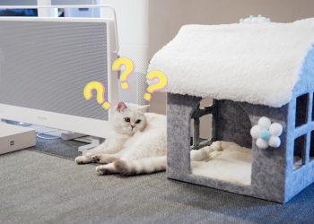 小米官方親自傳授如何低成本 DIY 打造貓主子的新窩，只需利用產品紙箱即可輕鬆完成