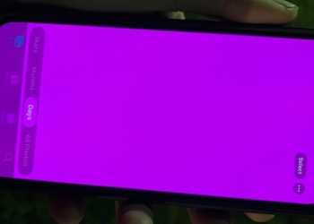 你的 iPhone 13 螢幕顏色變粉紅色嗎？Apple 確認是軟體 Bug 錯誤導致