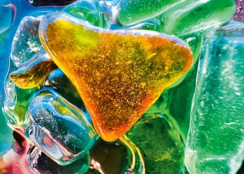 Apple 揭曉微距攝影 Shot on iPhone Challenge 10件最佳照片